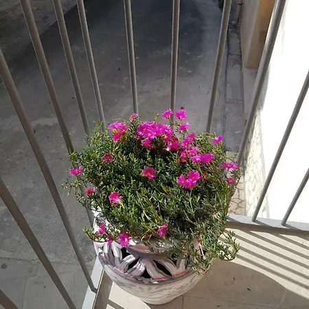 Prázdninový dům Casa Amici Di Patty Furnari